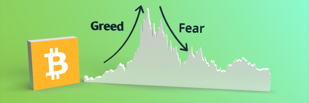 Bitcoin chart greed and fear